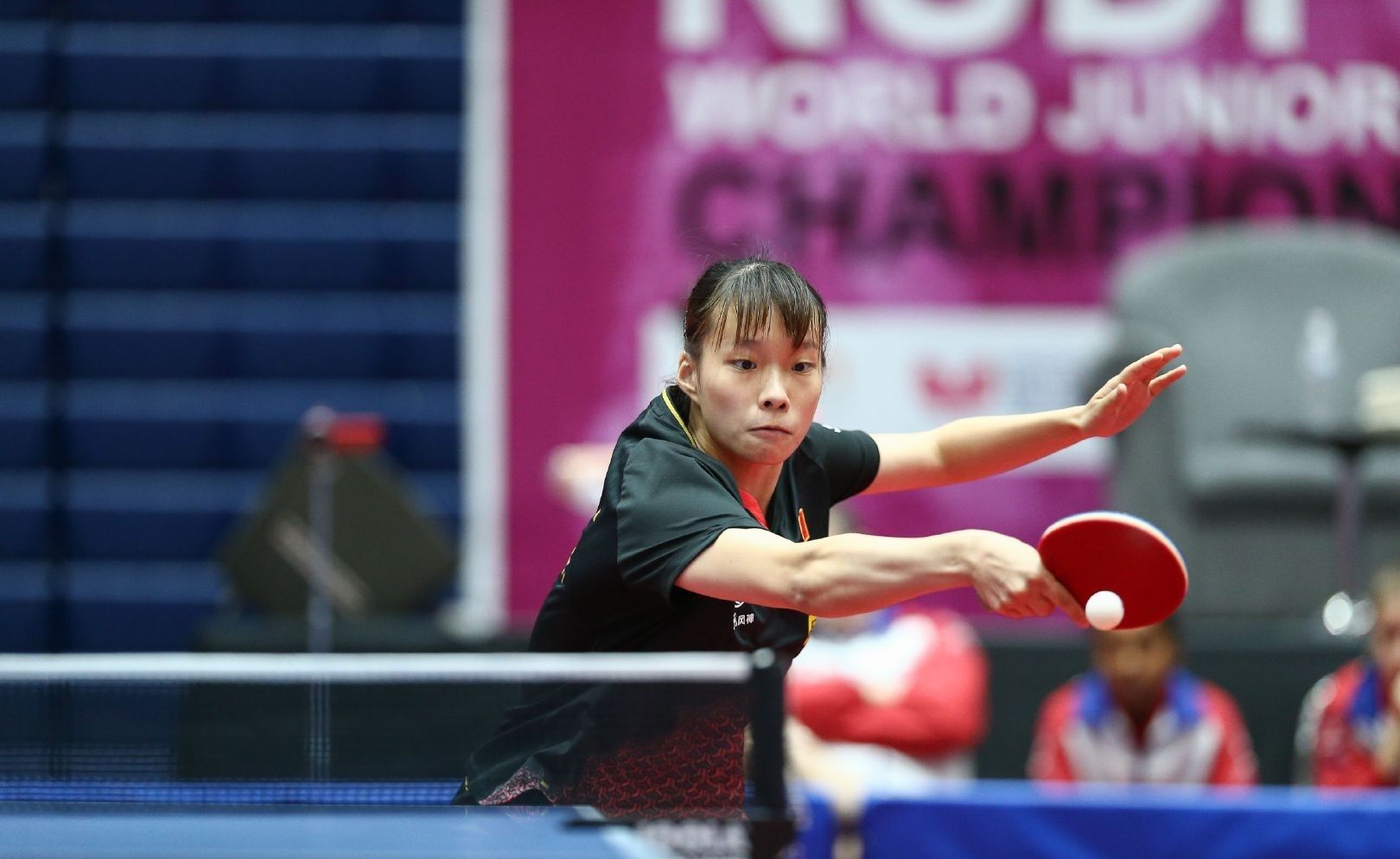 的阵容引发 的阵容引发